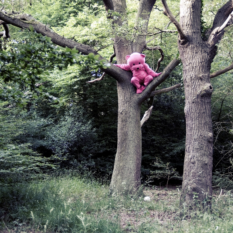 Recollection Of Innocence - Pink Bear Photograph