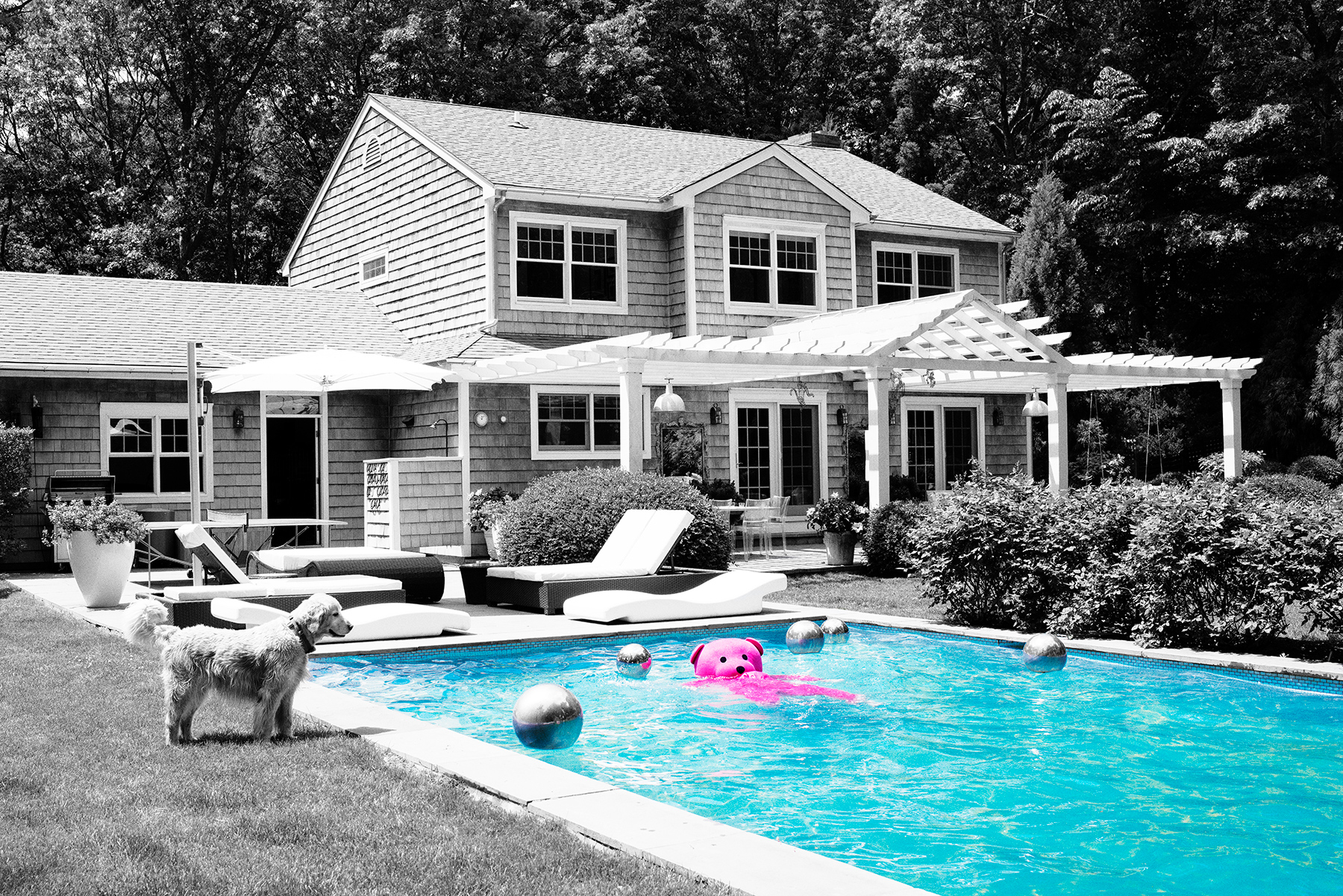 Hamptons Pool Bear