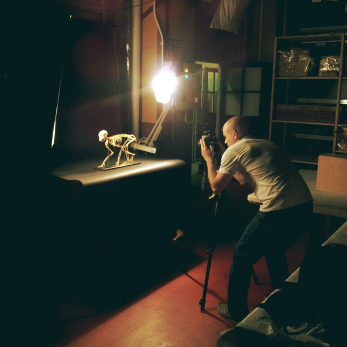 Horniman storage facility for 'Future Evolution' project